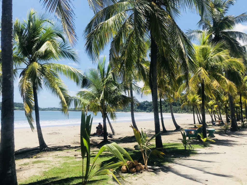 Palmen am Strand, Guancaste