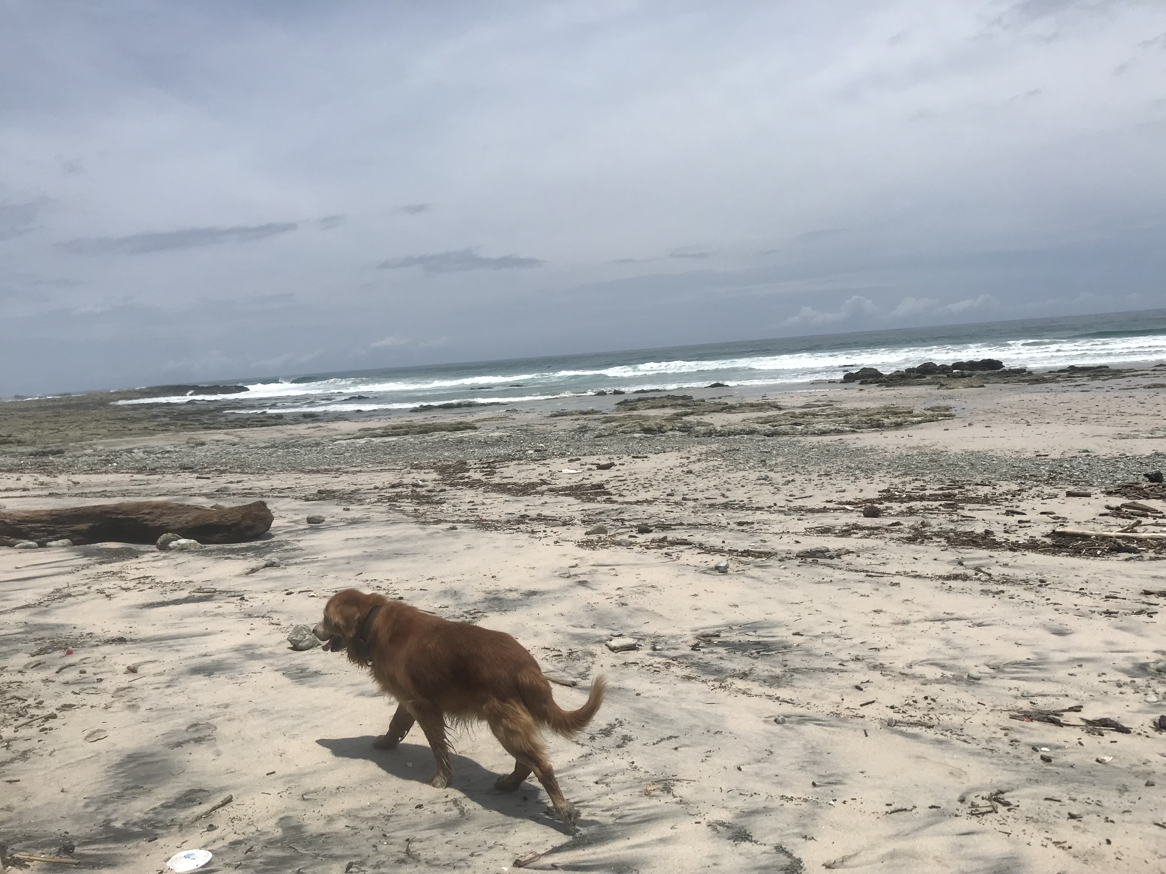 Beach Barrigona, Costa Rica