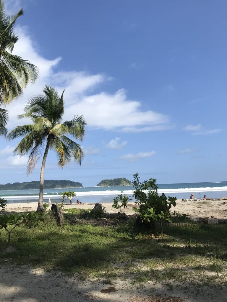 Internship Costa Rica - report 1
