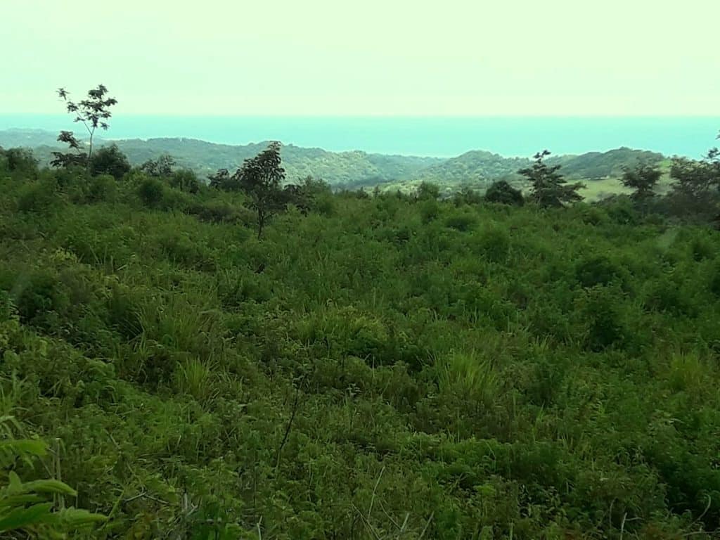 Finca in Ostional, Costa Rica for sale