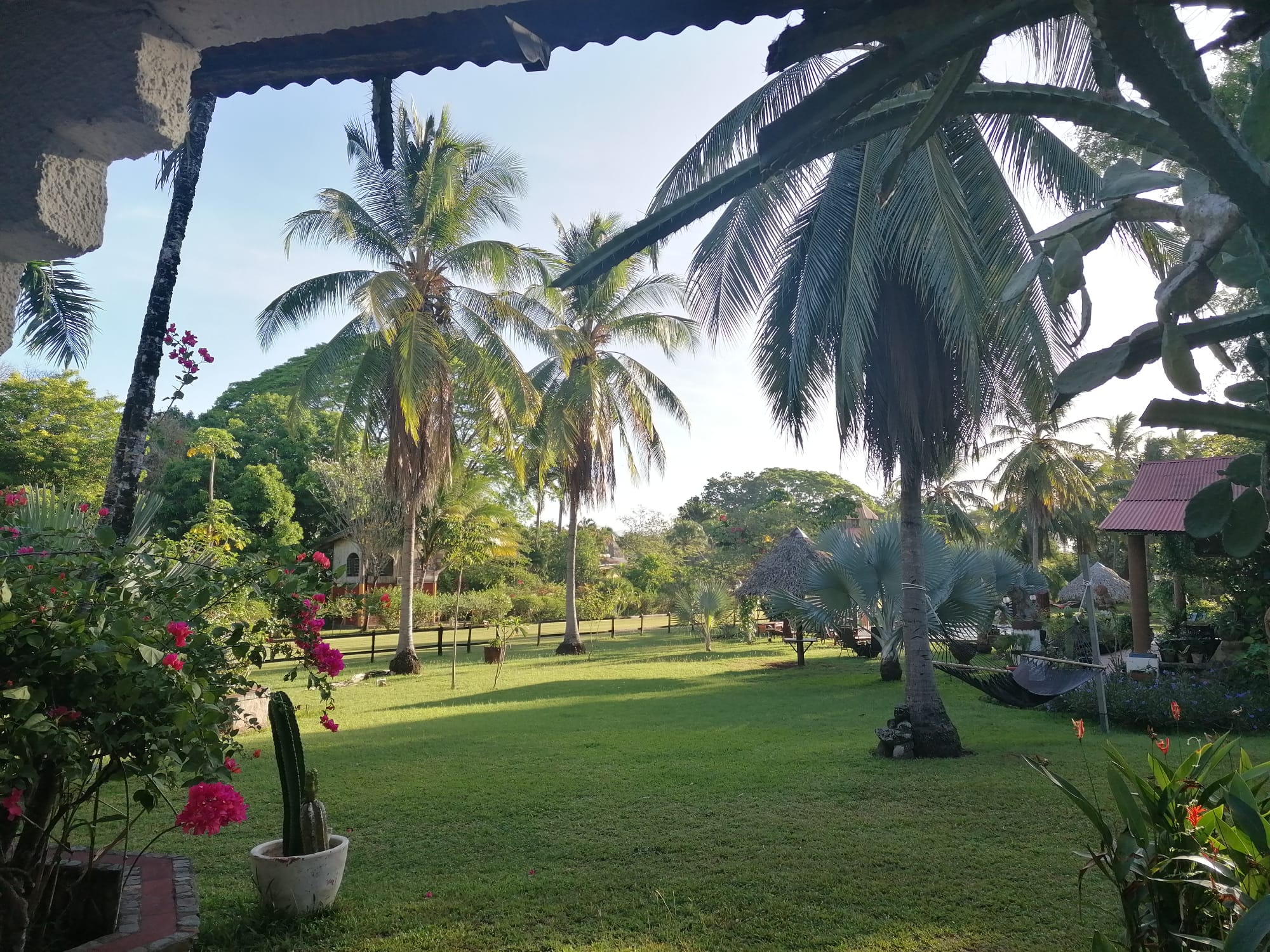 Praktikum Costa Rica