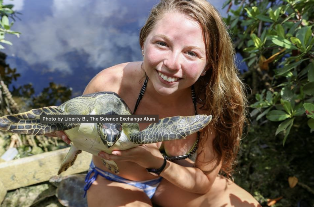 costa-rica-samara- lodge mit Schildkröten