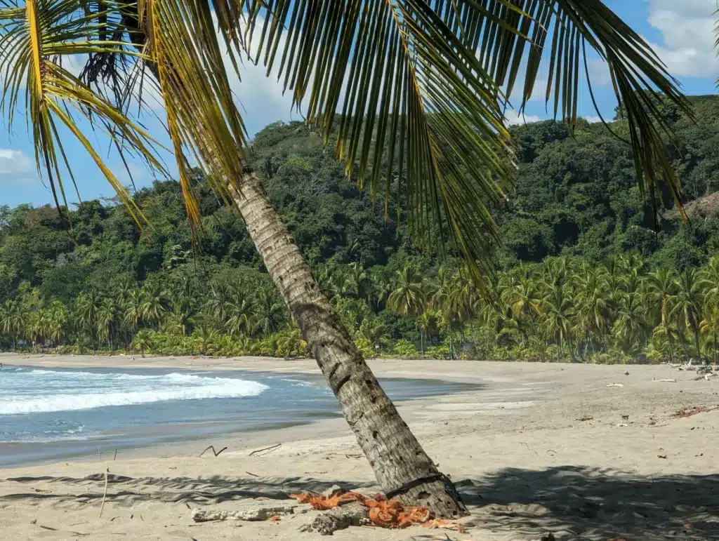 Praktikum Costa Rica