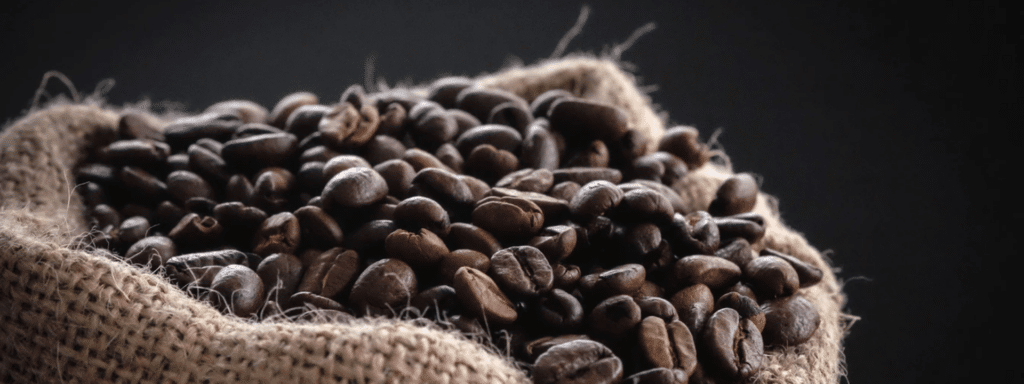 Costa Rica. hervorragendem Kaffee + Kakao