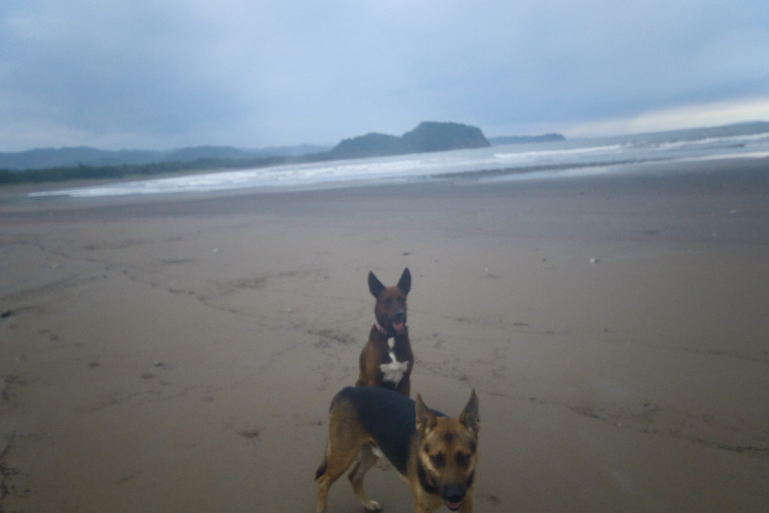 To Friends on the beach To which country will we escape?