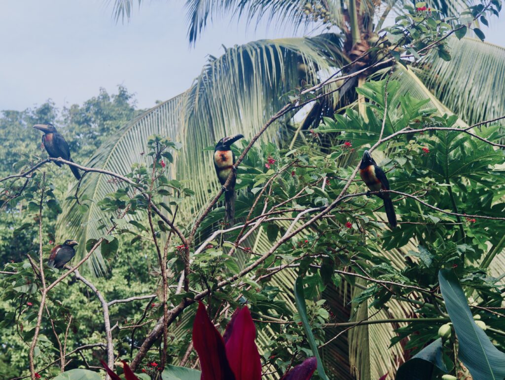 Langzeitmiete Costa Rica: